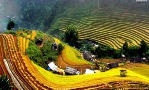 Kingly Package 5 days 4 nights